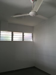Bukit Loyang Estate (D17), Semi-Detached #216497061